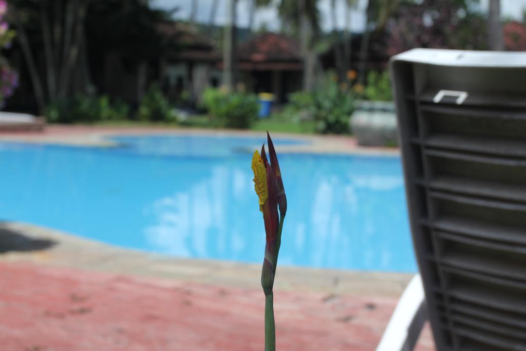 Kuta Indah Hotel Luaran gambar